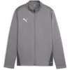 Image de Puma, Garçons, Vestes de survêtement, teamGOAL Veste d'entraînement Jr (116), Gris, 116