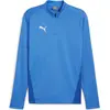 Image de Puma, Hommes, T-shirt de sport, teamGOAL Training 1/4 Zip Top (3XL), Bleu, 3XL