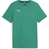 Image de Puma, Garçons, T-shirt de sport, teamGOAL Casuals Tee Jr (164), Vert, 164