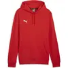 Image de Puma, Hommes, Pull-over, teamGOAL Casuals Sweat à capuche, Rouge, (L)
