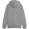 Image de Puma, Garçons, Pull-over, teamGOAL Casuals Hoody Jr, Gris, (164)