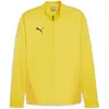 Image de Puma, Hommes, Vestes de survêtement, Veste d'entraînement teamGOAL (M), Jaune, M