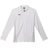 Image de Puma, Femmes, Vestes de survêtement, teamGOAL Veste d'entraînement Wmn (L), Blanc, L