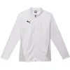 Image de Puma, Hommes, Vestes de survêtement, Veste d'entraînement teamGOAL (L), Blanc, L