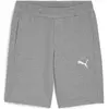 Image de Puma, Hommes, Bas de sport, TeamGoal (XS), Gris