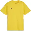 Image de Puma, Garçons, T-shirt de sport, teamGOAL Jersey Jr (140), Jaune, 140