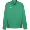 Image de Puma, Hommes, Vestes de survêtement, Veste d'entraînement teamGOAL (L), Vert, L