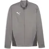 Image de Puma, Hommes, Veste de running, Veste d'entraînement teamGOAL (S), Gris, S