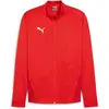 Image de Puma, Hommes, Veste de running, Veste d'entraînement teamGOAL (S), Rouge, S