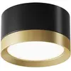 Image de Maytoni, Applique + plafonnier, Hoop plafonnier, lampe de plafond GX53 5cm noir / or (GX53)
