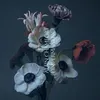 Image de L'impermanence