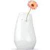 Image de 58 Products, Vase, Détendue (1x)
