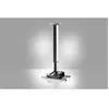 Image de Celexon MultiCel 4070 Expert (Plafond), Support pour projecteur, Argent