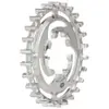 Image de Gates Carbon Drive Pignon Nuvinci/enviolo