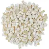 Image de LEGO 2x2 Briques Blanches - 250 pièces - Briques Blanches 3003 (3003, Accessoires LEGO)