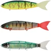 Image de Madness Glidebait Balam 104g 245 Mm