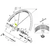Image de Shimano Rayon Rs31 Rear Left 299 mm