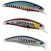 Image de Duo Minnow Ryuki Sinking Sw 4.5g 50 Mm