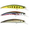 Image de Duo Minnow Ryuki Sw Sinking 17g 95 Mm