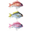 Image de Little Jack Swimbait Charikom 11g 50 Mm
