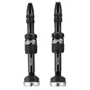 Image de E-thirteen Soupapes Quick Fill Bosch Tubeless 2 Unités