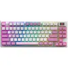 Image de MSI Forge Gk600 Tkl W Violet Fr (FR, Sans fil), Clavier, Blanc, Violet