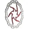 Image de Ashima Disque De Frein Aro 08 Ultralight 6b