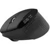 Image de Acer Smart Fit Vertical Mouse retail pack (Sans fil), Souris, Noir