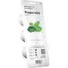 Image de Click and Grow, Graines, Menthe poivrée (Graines d’herbes aromatiques)