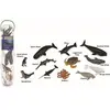 Image de Collecta Boîte de mini-animaux marins