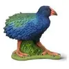 Image de Collecta Süd-Takahe