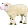Image de Collecta Mouton