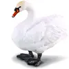 Image de Collecta Cygne Tuberculé (M)