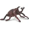 Image de Collecta Coléoptère Géant (M)