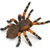Image de Collecta Araignée-oiseau mexicaine à coude rouge