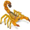 Image de Collecta Scorpion Jaune à Queue épaisse Du Sahara (M)