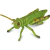 Image de Collecta CRIQUET (M)