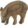 Image de Collecta Sanglier Frais - Mangeant (S)