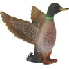 Image de Collecta Colvert Mâle (S)
