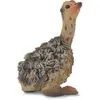 Image de Collecta Jeune Autruche - Assise (S)