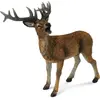 Image de Collecta elnias raudonasis (l) 88469