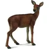 Image de Collecta CERF ÉLAPHE (M)