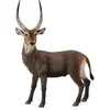 Image de Collecta Figurine d'antilope noire (004-88562)