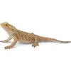 Image de Collecta Dragon Lizard
