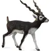 Image de Collecta Figurine d'antilope Blackbuck (004-88638)