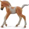 Image de Collecta Poulain Pinto Palomino - Marcheur (M)