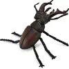 Image de Collecta CERF-VOLANT (M)