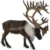 Image de Collecta Figurine de rennes Woodland Karibu (004-88709)