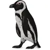 Image de Collecta Pingouin Sud-Africain (S)
