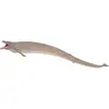 Image de Collecta Poisson Basilosaurus XL, 88797